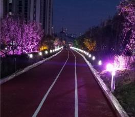 塑胶跑道